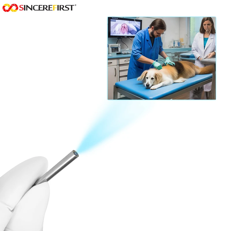 product-800-800